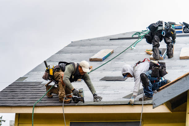 Professional Gutter Installation technician working in North Branch, MN
